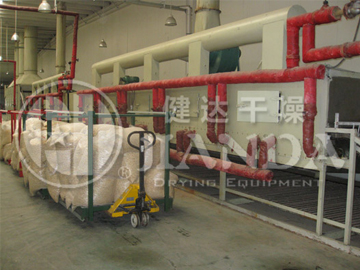 DWT網(wǎng)帶式脫水蔬菜干燥機(jī)